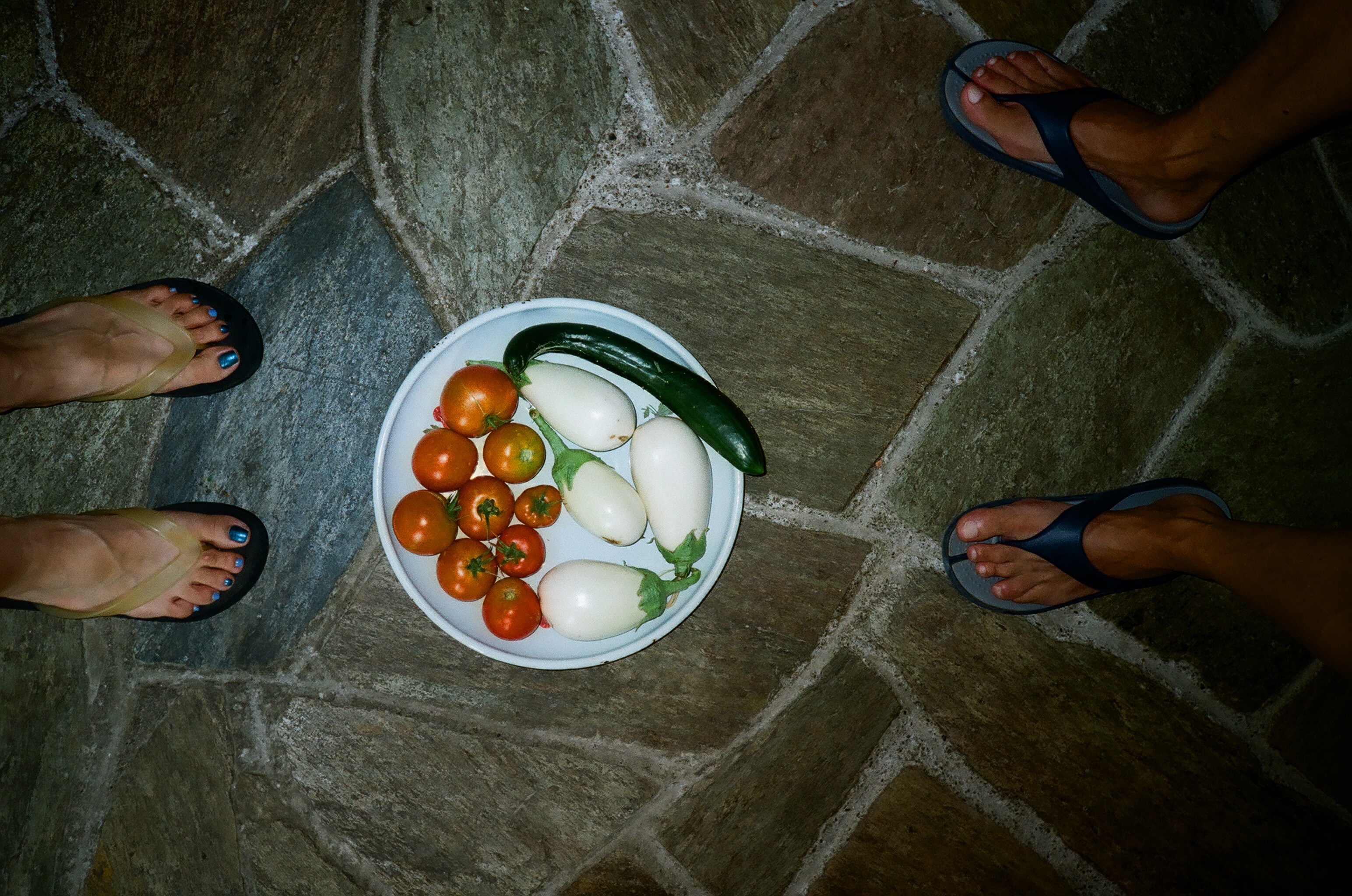 DI Aubergines Alonissos 2017